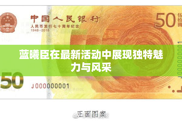 蓝曦臣在最新活动中展现独特魅力与风采