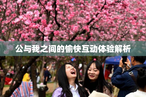公与我之间的愉快互动体验解析