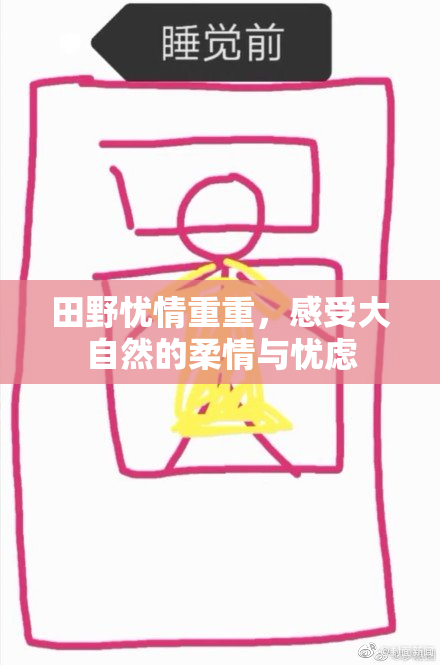田野忧情重重，感受大自然的柔情与忧虑