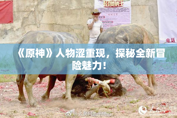 《原神》人物涩重现，探秘全新冒险魅力！