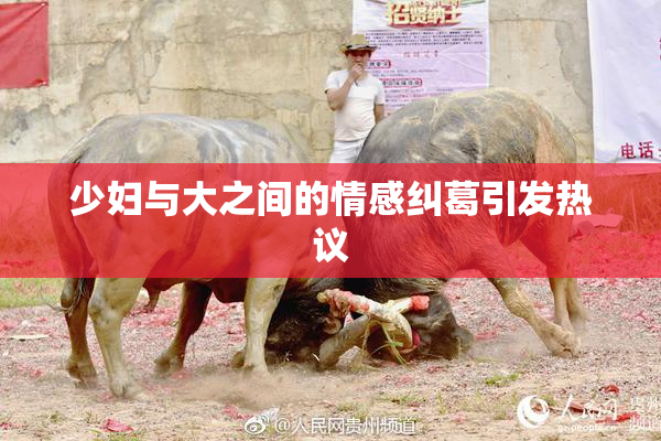 少妇与大之间的情感纠葛引发热议