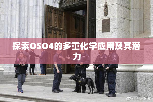 探索OSO4的多重化学应用及其潜力
