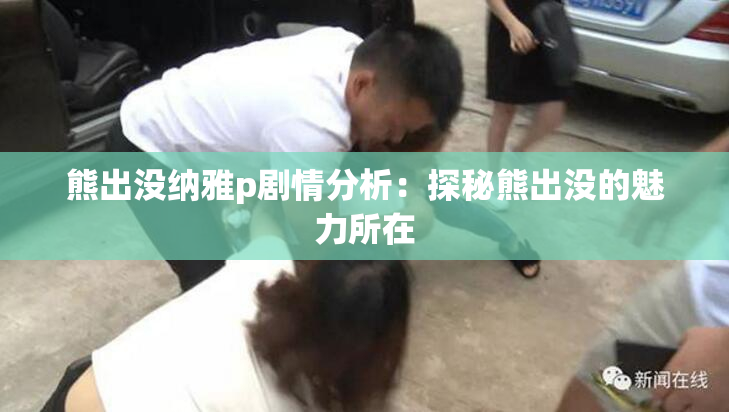 熊出没纳雅p剧情分析：探秘熊出没的魅力所在