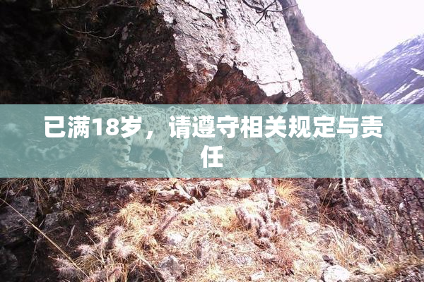 已满18岁，请遵守相关规定与责任