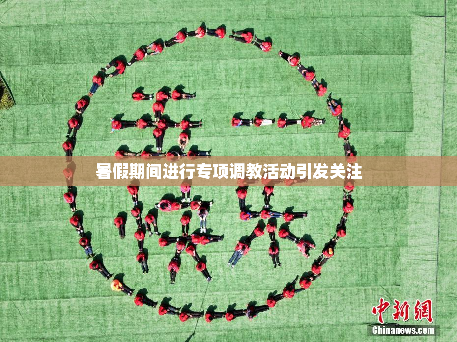暑假期间进行专项调教活动引发关注