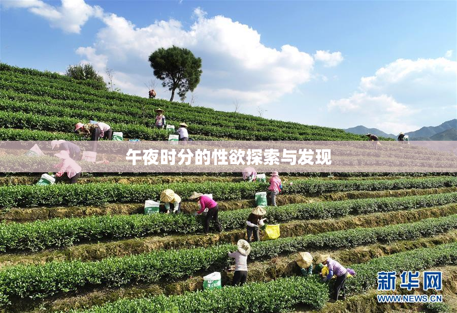 午夜时分的性欲探索与发现