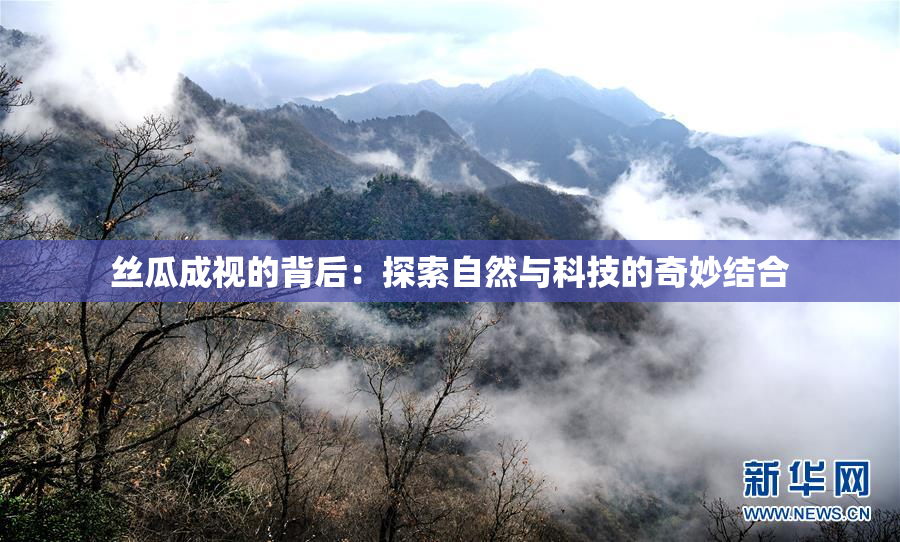 丝瓜成视的背后：探索自然与科技的奇妙结合