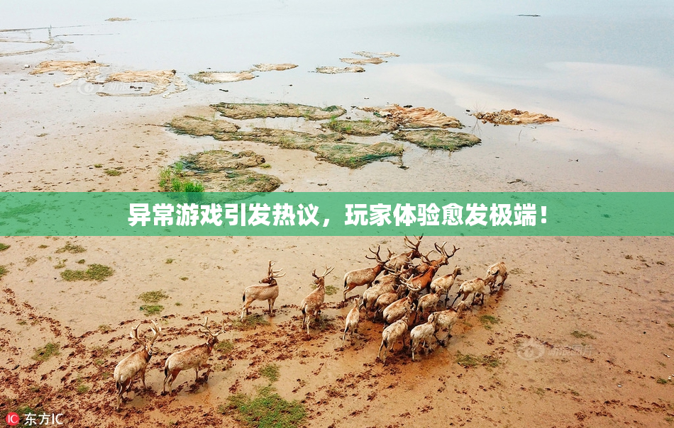 异常游戏引发热议，玩家体验愈发极端！