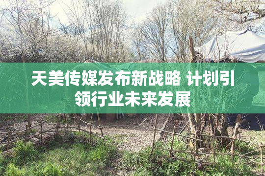 天美传媒发布新战略 计划引领行业未来发展
