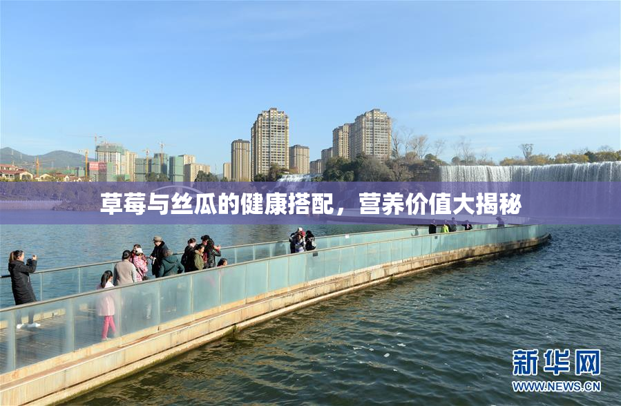 草莓与丝瓜的健康搭配，营养价值大揭秘