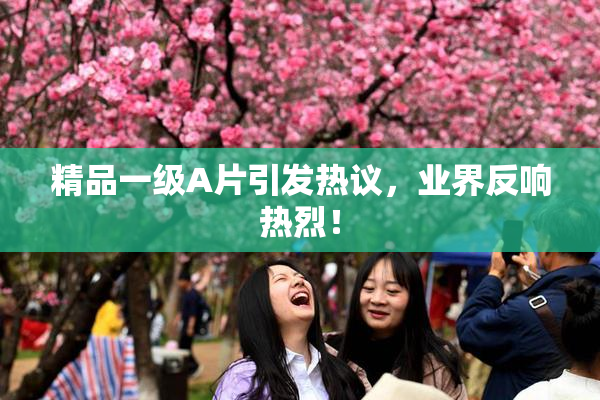精品一级A片引发热议，业界反响热烈！