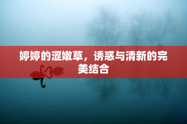 婷婷的涩嫩草，诱惑与清新的完美结合