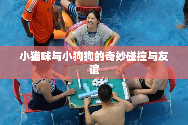 小猫咪与小狗狗的奇妙碰撞与友谊