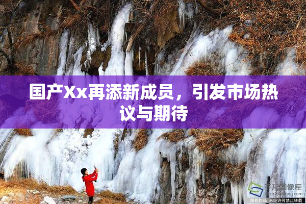 国产Xx再添新成员，引发市场热议与期待