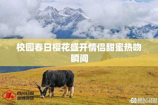 校园春日樱花盛开情侣甜蜜热吻瞬间