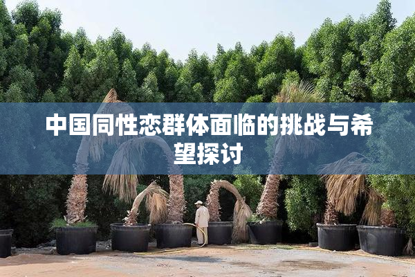 中国同性恋群体面临的挑战与希望探讨