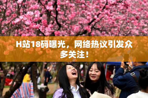H站18码曝光，网络热议引发众多关注！