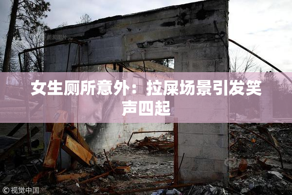 女生厕所意外：拉屎场景引发笑声四起