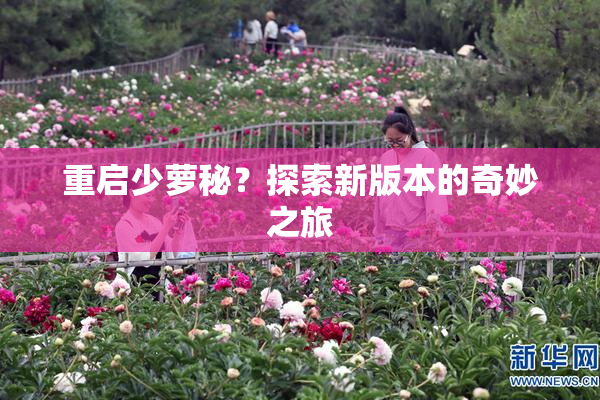 重启少萝秘？探索新版本的奇妙之旅