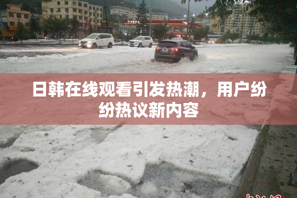 日韩在线观看引发热潮，用户纷纷热议新内容