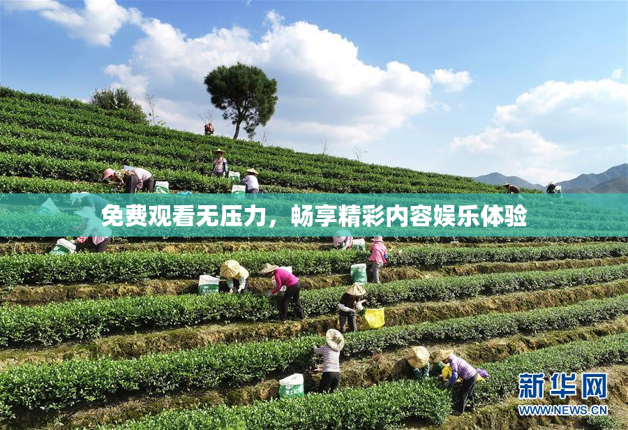 免费观看无压力，畅享精彩内容娱乐体验