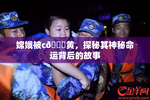 嫦娥被c🔞黄，探秘其神秘命运背后的故事