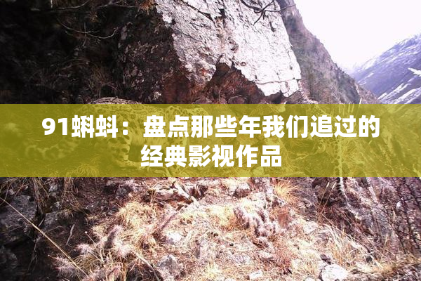 91蝌蚪：盘点那些年我们追过的经典影视作品