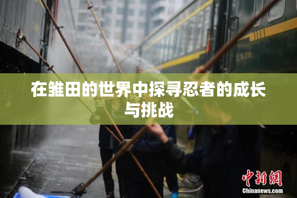 在雏田的世界中探寻忍者的成长与挑战