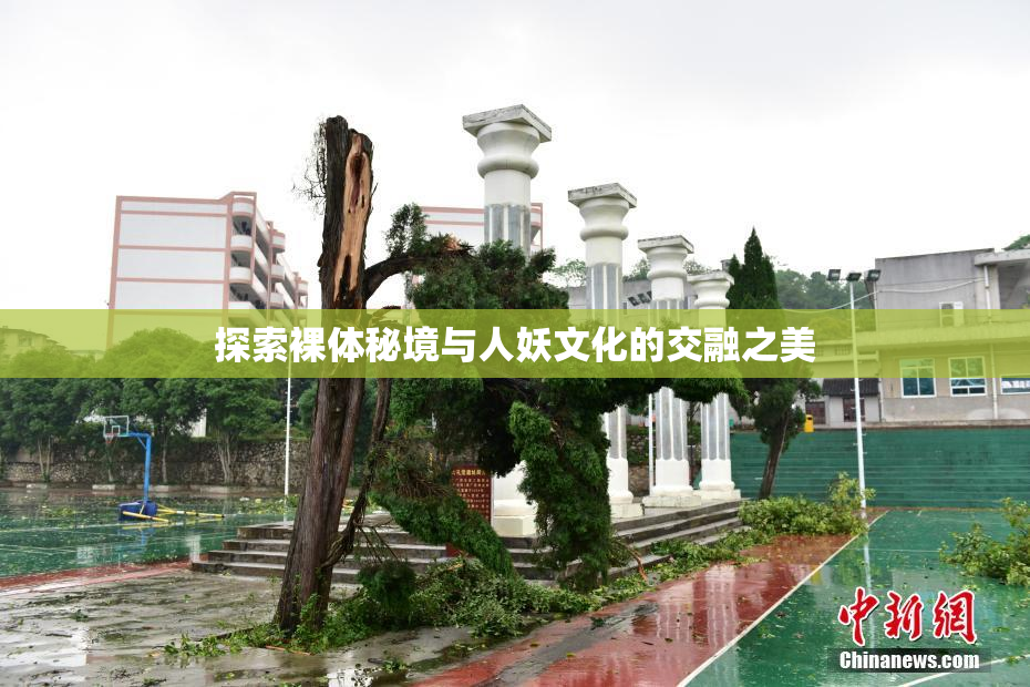 探索裸体秘境与人妖文化的交融之美