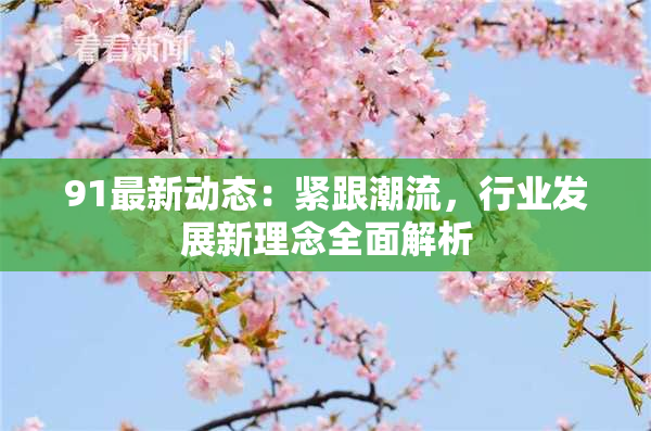 91最新动态：紧跟潮流，行业发展新理念全面解析
