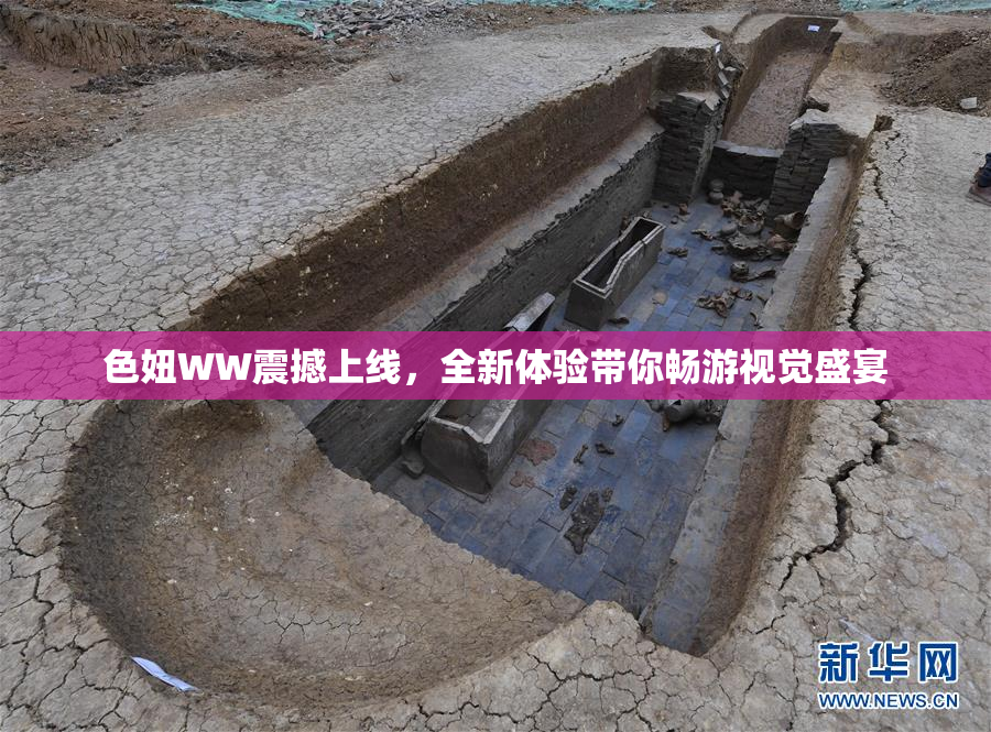 色妞WW震撼上线，全新体验带你畅游视觉盛宴