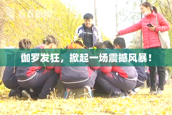 伽罗发狂，掀起一场震撼风暴！