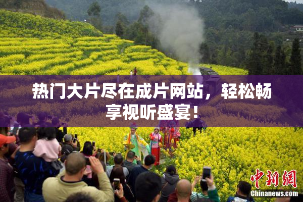 热门大片尽在成片网站，轻松畅享视听盛宴！