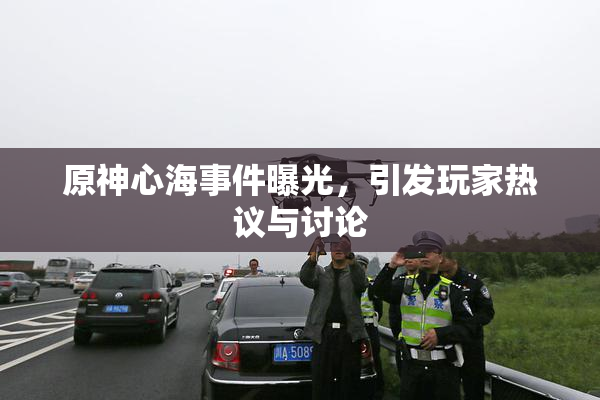 原神心海事件曝光，引发玩家热议与讨论