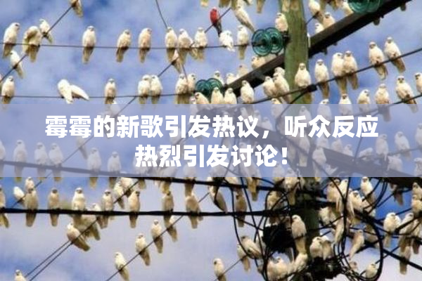 霉霉的新歌引发热议，听众反应热烈引发讨论！