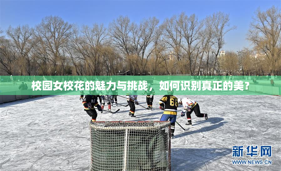 校园女校花的魅力与挑战，如何识别真正的美？