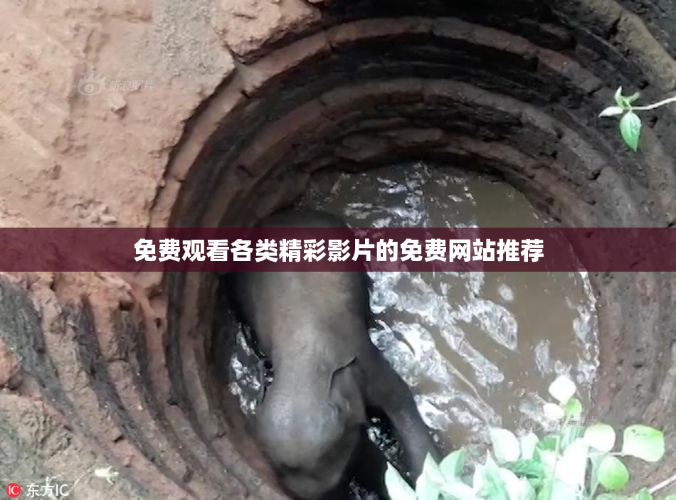 免费观看各类精彩影片的免费网站推荐