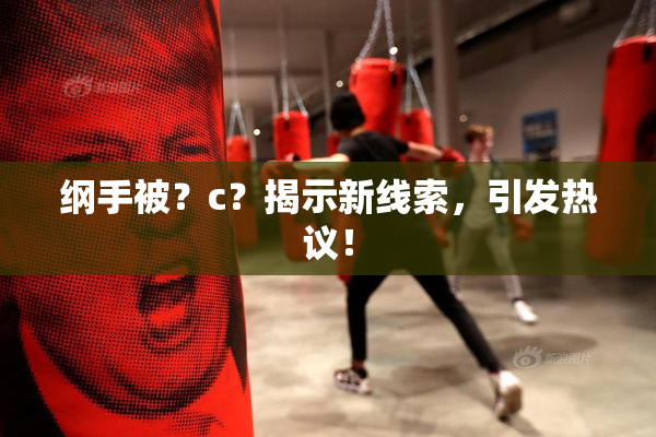 纲手被？c？揭示新线索，引发热议！