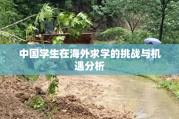 中国学生在海外求学的挑战与机遇分析