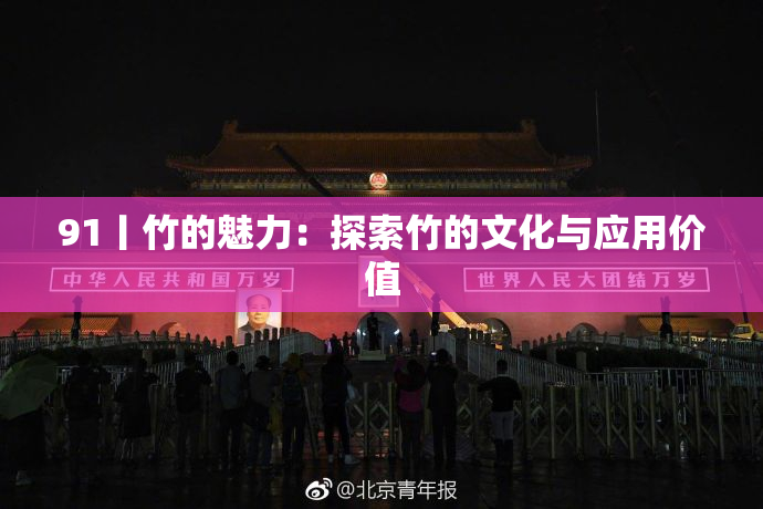 91丨竹的魅力：探索竹的文化与应用价值