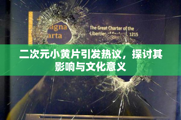 二次元小黄片引发热议，探讨其影响与文化意义