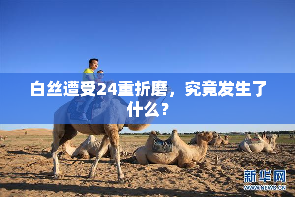 白丝遭受24重折磨，究竟发生了什么？
