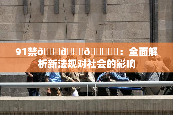91禁🍆🍑🔞❌‌：全面解析新法规对社会的影响