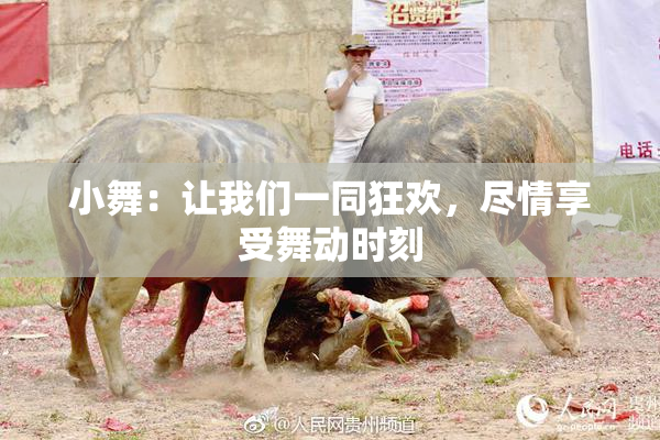 小舞：让我们一同狂欢，尽情享受舞动时刻