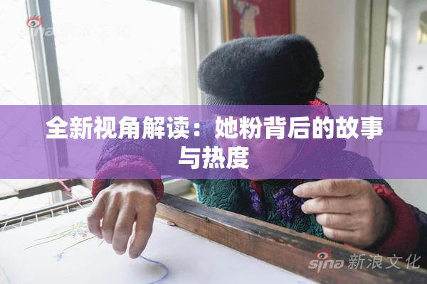 全新视角解读：她粉背后的故事与热度