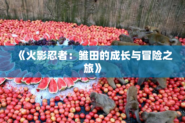 《火影忍者：雏田的成长与冒险之旅》