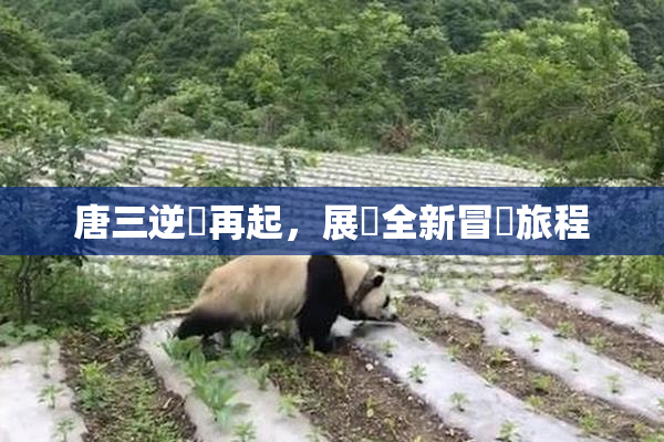唐三逆襲再起，展現全新冒險旅程