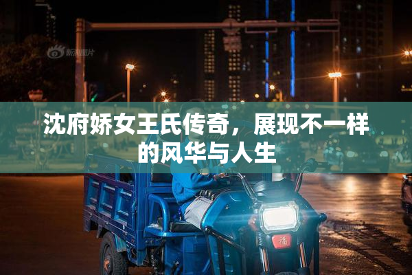 沈府娇女王氏传奇，展现不一样的风华与人生