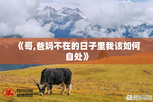 《哥,爸妈不在的日子里我该如何自处》