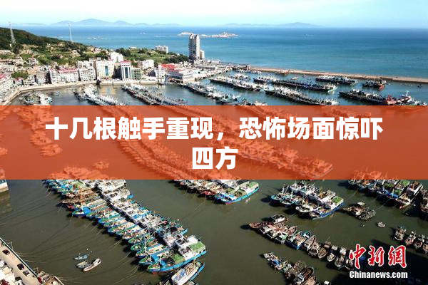 十几根触手重现，恐怖场面惊吓四方